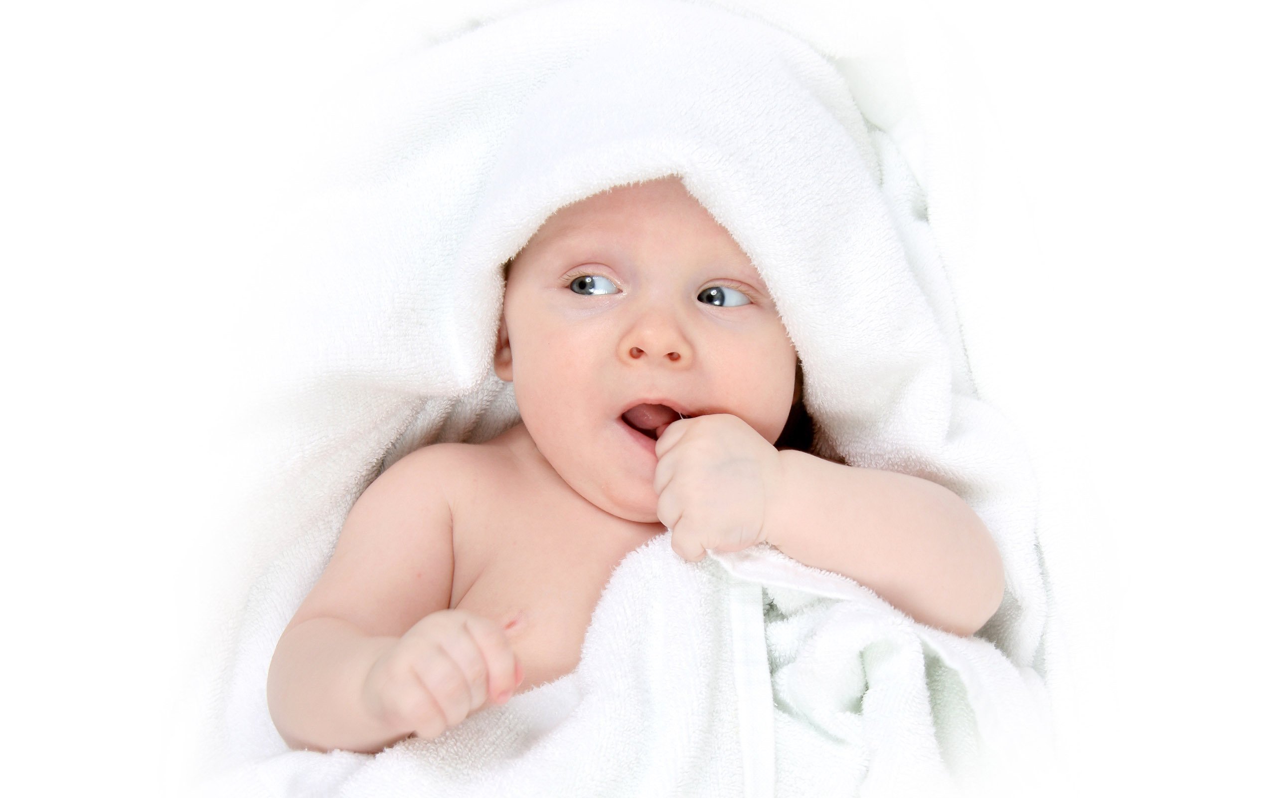 山东供卵公司机构全国哪里试管婴儿成功率高